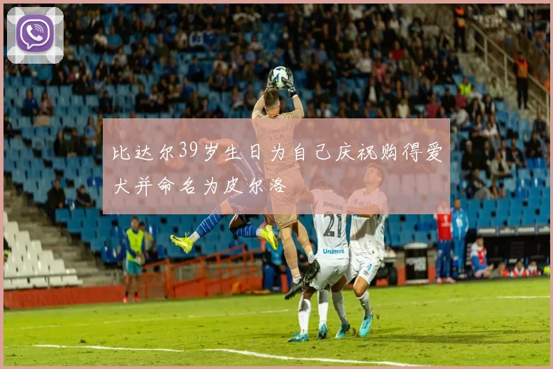 比达尔39岁生日为自己庆祝购得爱犬并命名为皮尔洛