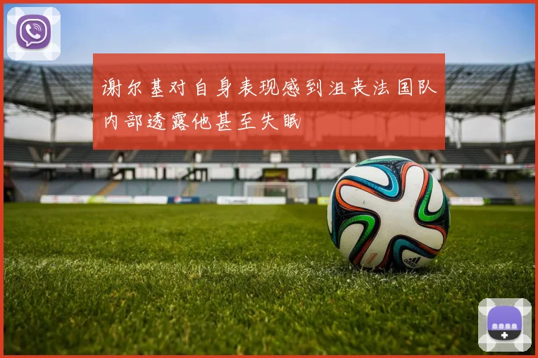 谢尔基对自身表现感到沮丧法国队内部透露他甚至失眠