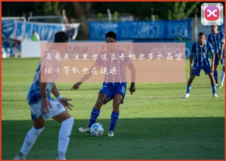 马竞关注里尔攻击手帕尔多水晶宫纽卡等队也在追逐